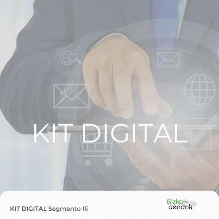 Kit Digital Bizkaidendak Federazioa